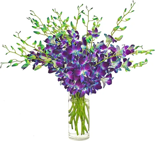 Vista 5 de PREMIUM Cut Azul orquídeas con eflowerwholesale Custom cinta para regalo