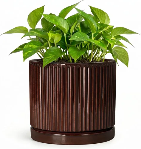 Vista 32 de 8 Inch Flower Pot, Ceramic Planters, Round Plant Pot, Beige