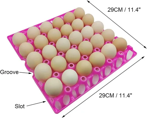 Vista 2 de Paquete de 6 bandejas de plástico para huevos de pollo para productos agrícolas, estantes para huevos, pato, 30 bandejas para poner huevos