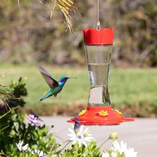 Vista 2 de MEKKAPRO Comedero para colibríes para exteriores hecho de vidrio, comedero para colibríes para exteriores, colgante a prueba de hormigas y abejas