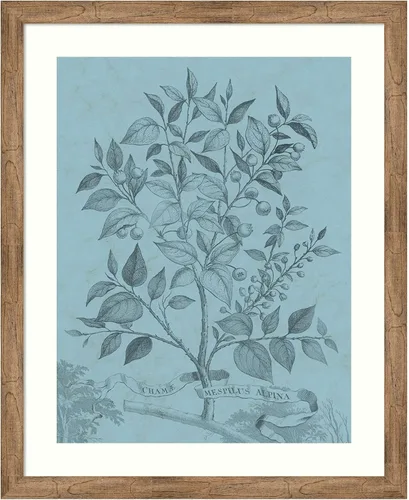 Vista 9 de Amanti Art Vision Studio - Póster enmarcado de 24 x 20 pulgadas, diseño botánico en V verde azulado por Vision Studio, arte de pared de naturaleza