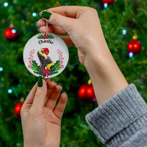 Vista 4 de Green Holly Sombrero de Papá Noel Bumblebee Dart Frog Nombre Personalizado Adornos de Navidad 2023 Círculo Blanco Cerámica Dueño de Mascotas Regalos