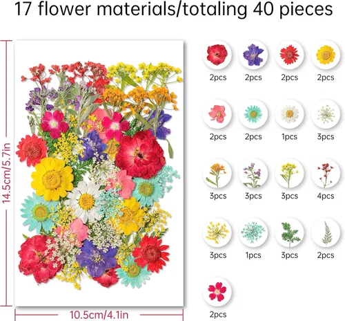 Vista 2 de Kaluofan - 40 flores secas prensadas reales, flores secas para resina, flores secas para manualidades, para marcapáginas de resina, álbumes de L06