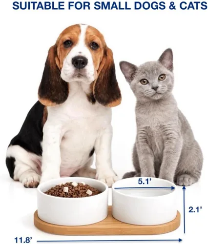 Vista 5 de Juego de 2 platos de cerámica para perros y gatos pequeños con bandeja