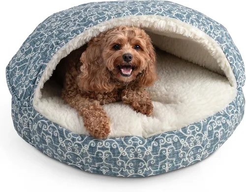 Vista 48 de Snoozer Cama de lujo de microsuede acogedora estilo cueva para mascotas, pequeña, antracita For small sized pets, Removable washable cover