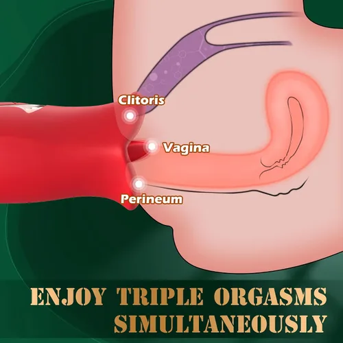 Vista 5 de Juguetes Sexuales para Adultos Vibrador, Juguete Rosa, Estimulador Sexual Rosa para Mujeres con 10 Modos de Vibración y 10 Modos de Beso Francés