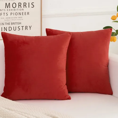 Vista 11 de Juego de 2 fundas de almohada decorativas de terciopelo, funda de cojín cuadrada suave para decoración del hogar para sala de estar, sofá o cama