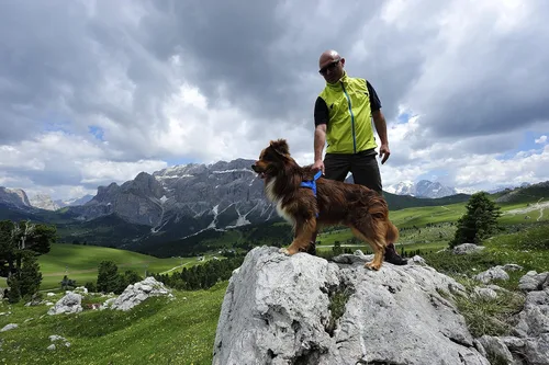 Vista 2 de Neewa Arnés deportivo (XS, azul), arnés acolchado para perro, con mango de control, fácil de poner y quitar