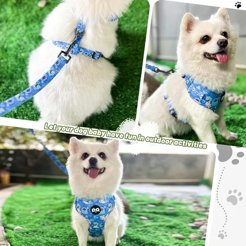 Vista 5 de QQPETS Arnés para perro con correa y soporte para bolsa de excrementos, juego de 4 piezas, ajustable sin tirones, chaleco acolchado de malla suave