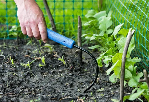 Vista 5 de CobraHead. Herramienta de mano, escardillo y cultivador. Cuchilla de acero forjado y mango de plástico reciclado. Diseñado ergonómicamente