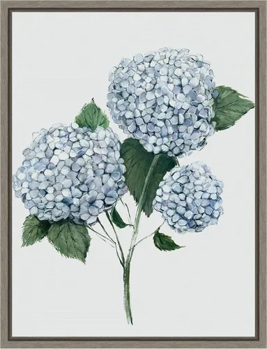 Vista 17 de Amanti Art Framed Canvas Wall Art 24x18 Fresh Blue Hydrangea II by Hannah Dawson, Framed Wall Art Canvas, Flowers Artwork, Traditional Decor, Medium