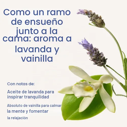 Vista 3 de Bath & Body Works Aromaterapia para Dormir - Jabón Corporal y Espuma de Baño de Lavanda + Vainilla, 10 Fl Oz