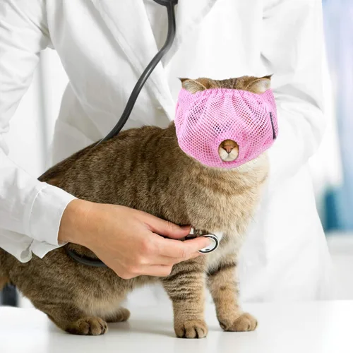 Vista 5 de Weewooday 3 bozales para gatos, bozales de malla transpirable, bolsas de retención para aseo de gatos con bozal antimordeduras antimaullido para Azul