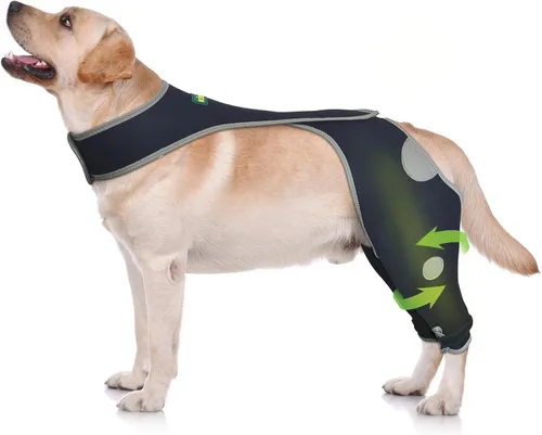 Vista 15 de Codera para perro para codo canino y hombro, displasia, osteoartritis, callos de codo, úlceras por presión, coderas de perro para una mejor