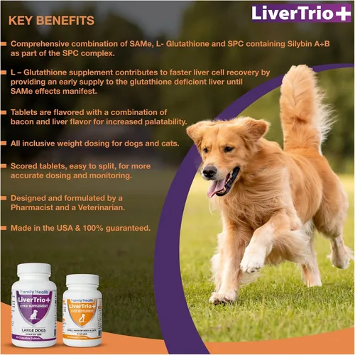 Vista 10 de Suplemento integral de apoyo hepático para perros más pequeños. Tabletas masticables sabrosas que combinan las mismas, SPC, silybin A+B, + glutatión