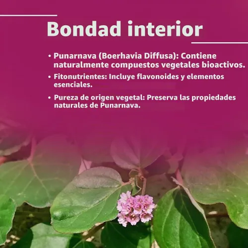 Vista 3 de Punarnava Tabletas de mi Nature 90 Tabletas, 1000 mg Suministro de 45 días Tabletas de Hierbas Vegano Boerhaavia diffusa de la India