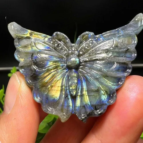 Vista 3 de TEAMWILL 2" natural labradorita tallada mariposa cráneo cuarzo cristal curativo Reiki