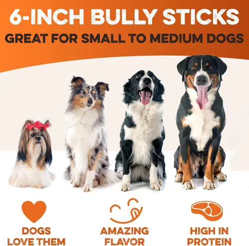 Vista 5 de BRUTUS & BARNABY Bully Sticks para Perros, 6" – Bajo a Sin Olor, Alimentados con Pasto, Masticables Sin Cuero Crudo para Masticadores Agresivos