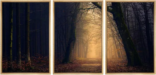 Vista 68 de SIGNWIN Lienzo enmarcado para pared, juego de arte nublado de tormenta, cielo, bosque otoñal, árboles, rústico, naturaleza, fotografía, realismo