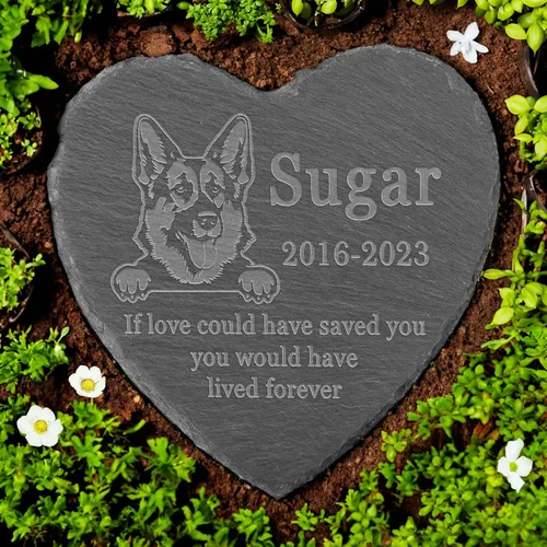 Vista 8 de Memorial personalizado de American Staffordshire Terrier, lápida de American Staffordshire Terrier, condolencias por pérdida de American