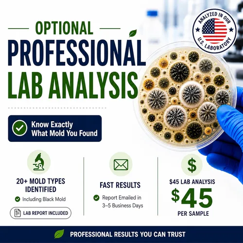 Vista 4 de Evviva Sciences - Kit de prueba de moho para el hogar, 5 pruebas de detección simples con análisis de laboratorio opcional (tarifa adicional)