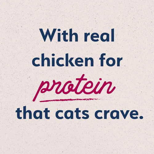 Vista 9 de Natural Balance Alimento ultra seco original para gatos, receta de harina de pollo y salmón, salud de todo el cuerpo para gatitos a gatos adultos, 6