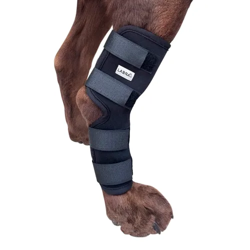 Vista 7 de Labra Vendaje de Compresión para Articulación del Corvejón de Pata Trasera de Perro - Soporte Ortopédico para Patas Traseras Débiles, Desgarro
