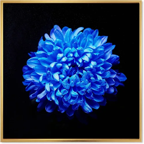 Vista 11 de DesignQ Lienzo enmarcado tradicional con flores silvestres azules con hojas verdes II