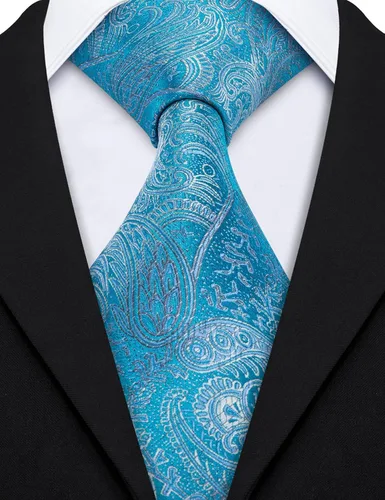 Vista 31 de Barry.Wang Juego de corbatas de seda para hombre, corbatas de boda de seda tejida formal de negocios casual (4/6/8PCS)