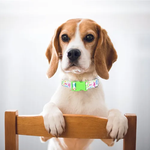 Vista 5 de Lindo collar de perro con patrones de flores verdes para perros machos y hembras, collares ajustables y cómodos para perros XS, pequeños, medianos