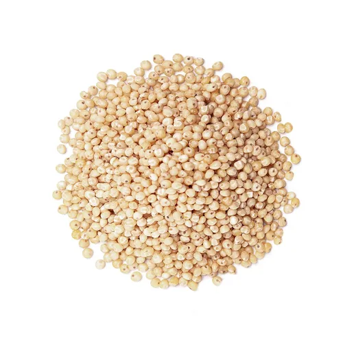 Vista 3 de Food to Live Sorgo orgánico italiano de grano entero blanco, 1 libra, granos blancos sin transgénicos. Semillas milo crudas. Vegano, maíz de escoba