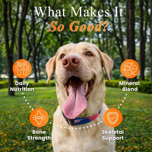Vista 2 de Masticables multivitamínicos para perros – Apoyo articular + enzimas digestivas y probióticos – Multivitaminas masticables para perros – Vitaminas