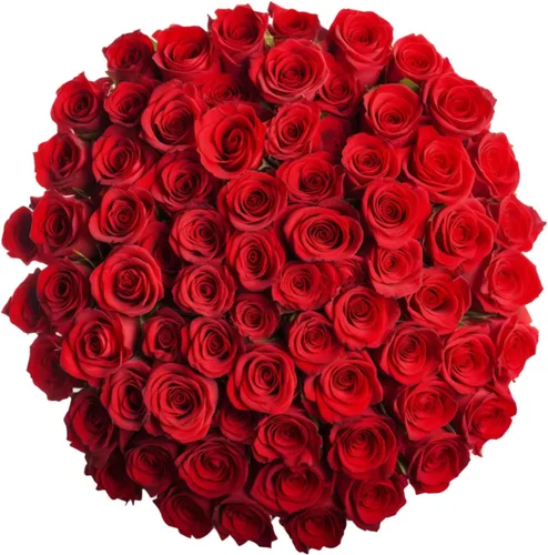 Vista 8 de GlobalRose Ramo de 50 Rosas Frescas Cortadas Surtidas - Rosas de Origen Responsable Flores Frescas - Ramo de Flores Frescas para Bodas