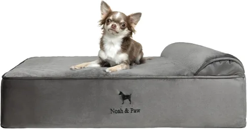 Vista 28 de NOAH & PAW Cama pequeña para perros, 20 x 15 x 6.5 pulgadas, cama para gatos de interior, espuma viscoelástica ortopédica de cáscara de huevo Verde
