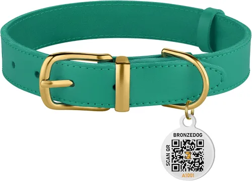 Vista 6 de BRONZEDOG Collar de cuero para perro con hebilla de metal, collares básicos duraderos para perros pequeños, medianos y grandes