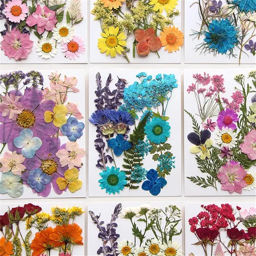 Vista 9 de Natural Pressed Dried Flower for Epoxy Resin Dry Flowers and Leaves Set for Soap Jewelry Making Scrapbooking Phone Case Decoration Section B