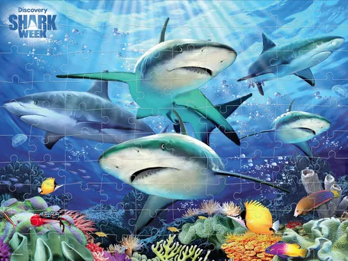 Vista 8 de Prime 3D Selfies Howard Robinson Reef Shark, rompecabezas 3D de 500 piezas