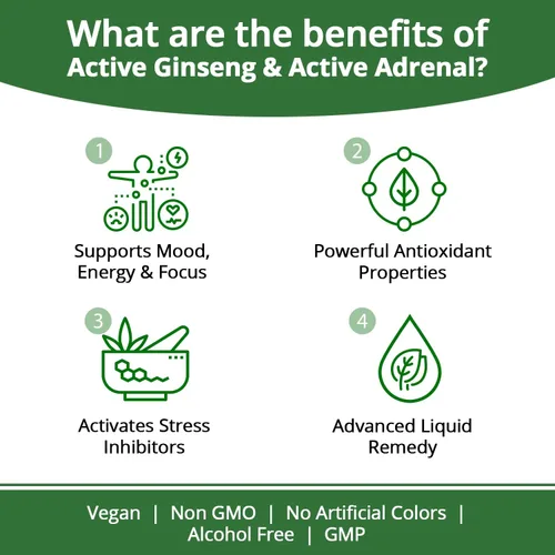 Vista 2 de Rejuvica Health Paquete de energía definitiva: ginseng activo y suprarrenal activo. Aumenta tus niveles de energía con ginseng, rodiola
