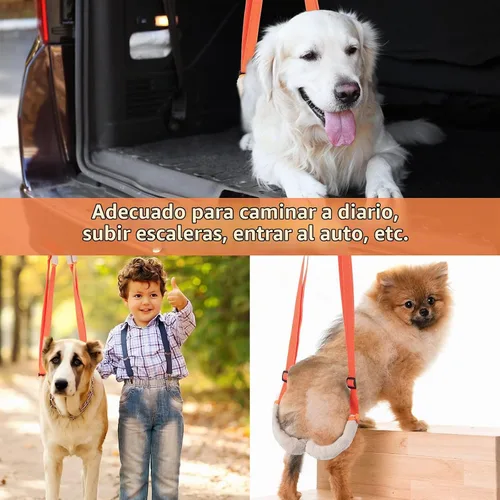 Vista 7 de Mixweer - Arnés de soporte para patas traseras de perro, 2 unidades, color Ayuda para problemas de movilidad de personas mayores, correas