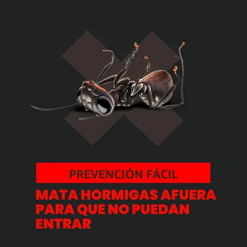 Vista 4 de Gránulos de carnada para hormigas Ant Block de Amdro para el perímetro de la casa