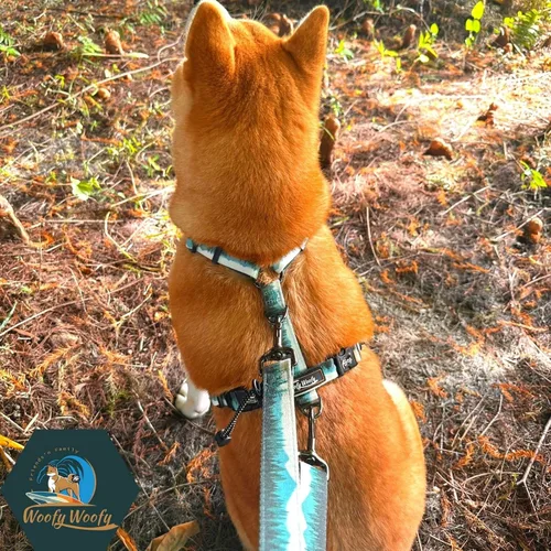 Vista 6 de Casual H - Arnés para perro, arnés sin tirones para mascota, con 2 clips para correa, chaleco acolchado suave ajustable para perros pequeños