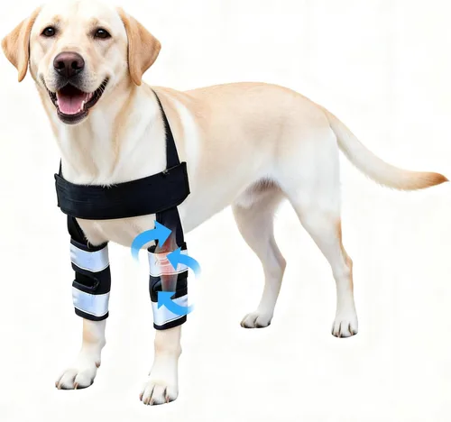 Vista 8 de Petanims Soporte de pierna delantera para perro, soporte de rodilla/carpalo/muñeca para perros, codo ajustable con soporte para el hombro, protector