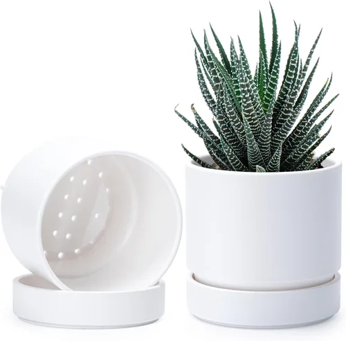Vista 39 de Phoenix Vine 4 Inch Planter Pot with Drainage Hole & Saucer, Deep Water Catch Tray, Straight Cylindrical Round Pot for Plants, Olive, Pack of 1