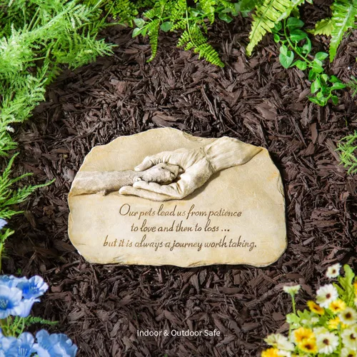 Vista 6 de Empresas piedra Evergreen de devoción para jardín Paw in Hand