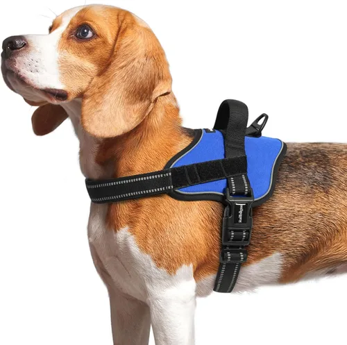 Vista 12 de rabbitgoo Arnés para perro de tamaño pequeño, chaleco para mascotas sin tirones, sin estrangulamiento, fácil de llevar con una hebilla, reflectante
