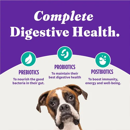 Vista 8 de Halo Holistic - Alimento vegano para perros, receta a base de plantas con algas marinas, comida seca para perros, salud digestiva completa
