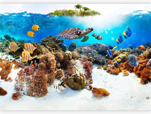 Vista 12 de artgeist Mural de pared premium mundo submarino, 98 x 69 pulgadas, papel tapiz no tejido XXL, decoración de pared de vellón, impresión fotográfica