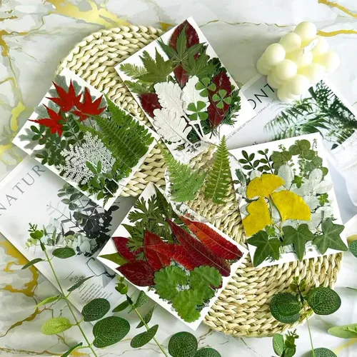 Vista 3 de 92 hojas de flores secas prensadas para moldes de resina, manualidades de bricolaje