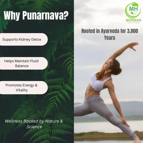 Vista 3 de Morsan Healthcare Punarnava Cápsulas – Paquete de 2 cápsulas vegetales de 60 x 500 mg Boerhaavia Diffusa Hierba ayurvédica 100% natural