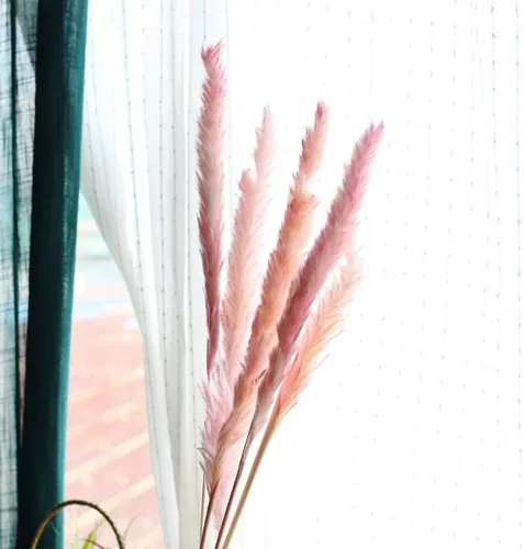 Vista 3 de 60 tallos de 22 pulgadas, flores secas naturales pequeñas de hierba de las pampas, Phragmites Communis, ramo de flores secas para bodas, arreglos